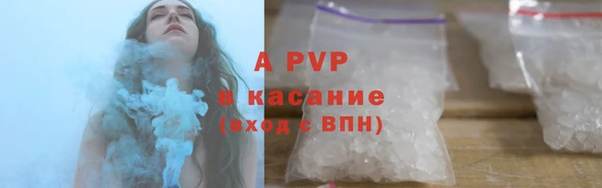 ГАЛЛЮЦИНОГЕННЫЕ ГРИБЫ Белокуриха