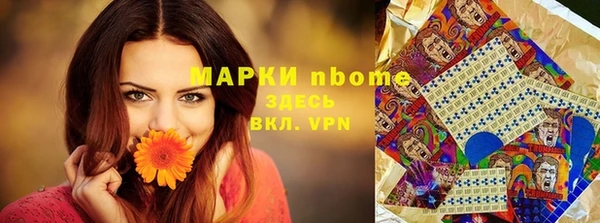 ГАЛЛЮЦИНОГЕННЫЕ ГРИБЫ Белокуриха