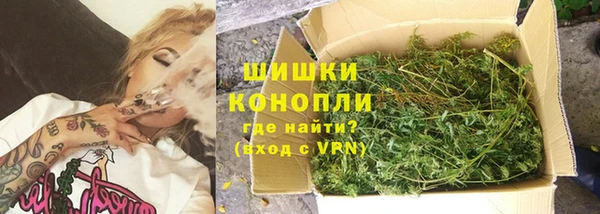 ГАЛЛЮЦИНОГЕННЫЕ ГРИБЫ Белокуриха